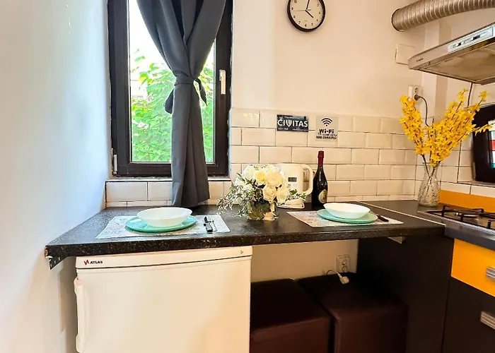 Apartment The Vintage - Wonderful In Location Craiova